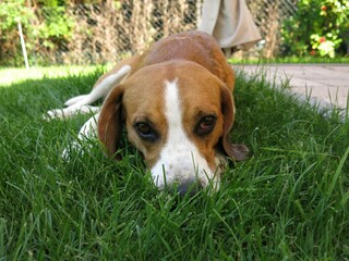 Apartment Stockheim (Oberfranken) Outdoor Recording 6