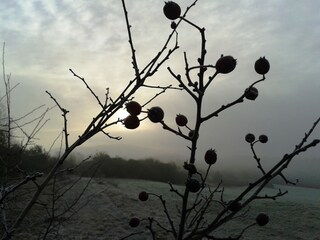 Apartamento Stockheim (Oberfranken) Entorno 27