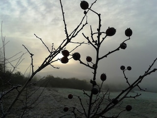 Appartement Stockheim (Oberfranken) Omgeving 28