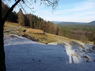 Appartamento Stockheim (Oberfranken) Ambiente 28