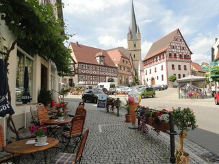 Type de propriété : Chalet Zeil am Main Environnement 21