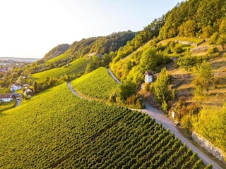 Casa de campo Zeil am Main Entorno 20