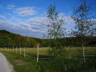 Vakantiehuisje Zeil am Main Omgeving 30