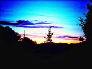 Cottage Zeil am Main Environment 26