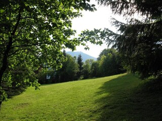 Type de propriété : Chalet Zeil am Main Environnement 25