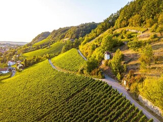 Vakantiehuisje Zeil am Main Omgeving 21