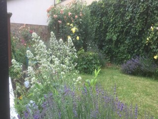 Type de propriété : Chalet Zeil am Main Environnement 31