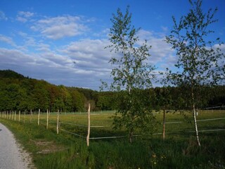 Vakantiehuisje Zeil am Main Omgeving 25