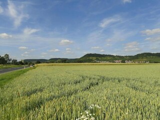 Type de propriété : Chalet Zeil am Main Environnement 30