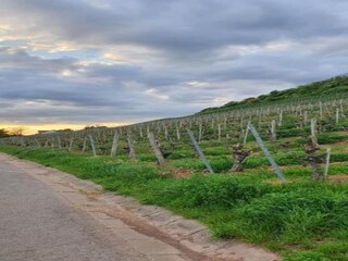 Vakantiehuisje Zeil am Main Omgeving 31