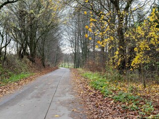 Vakantiehuis Brotterode-Trusetal Buitenaudio-opname 6