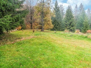 Apartment Brotterode-Trusetal Outdoor Recording 9