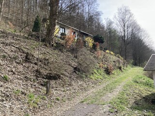 Holiday house Schleusegrund Outdoor Recording 6