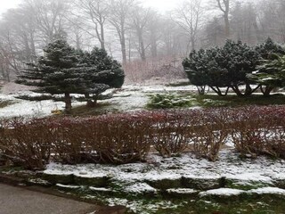 Vakantiehuis Schleusegrund Omgeving 36