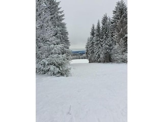 Vakantiehuis Schleusegrund Omgeving 38