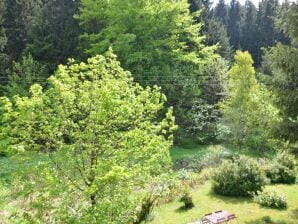 Appartement in Heubach in het bos - Masserberg - image1