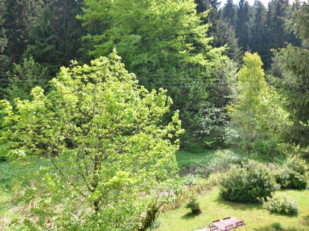 Apartamento Masserberg Grabación al aire libre 1