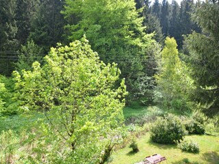Appartement Masserberg Buitenaudio-opname 8