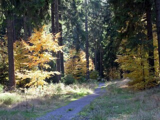 Apartamento Masserberg Entorno 28