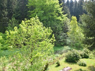 Apartamento Masserberg Entorno 36