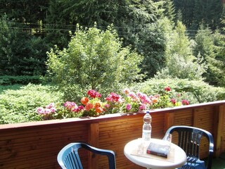 Apartment Masserberg Outdoor Recording 4
