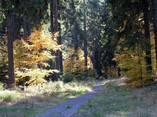 Appartement Masserberg Omgeving 22