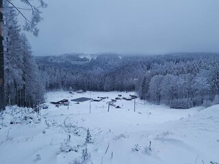 Apartamento Masserberg Entorno 21