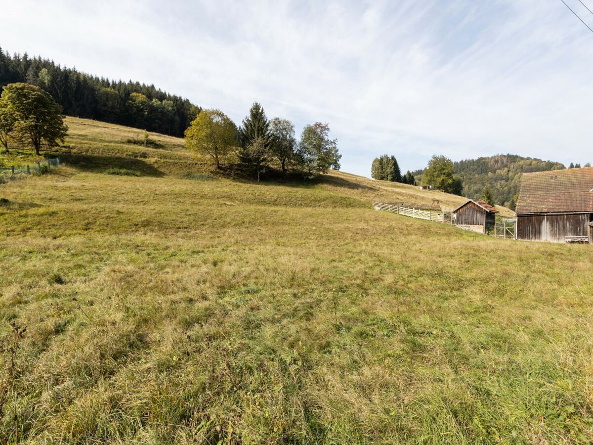 Ferienhaus St. Kilian Umgebung 32