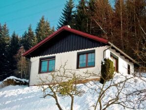 Maison de vacances Gîte confortable à Langenbach en Thuringe près du lac - Verrouiller le bas - image1