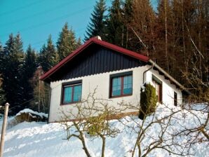 Holiday house Ferienhaus in Thüringen in Seenähe - Schleusegrund - image1