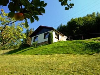 Holiday house Schleusegrund Outdoor Recording 5