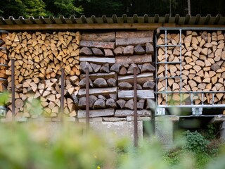 Casa de vacaciones Schleusegrund  31