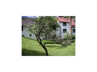 Bauernhof Schleusegrund Ausstattung 23