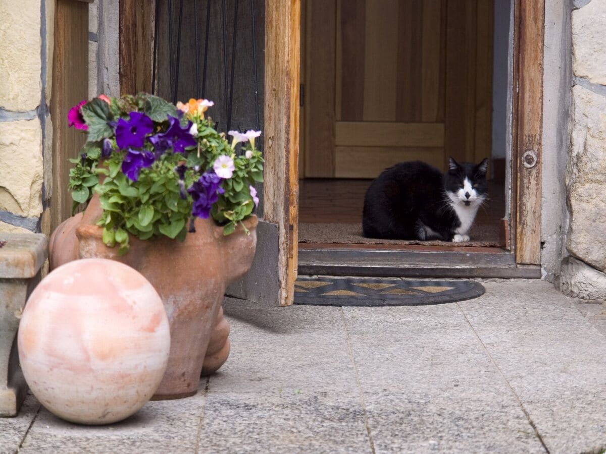 Bauernhof Schleusegrund Ausstattung 30