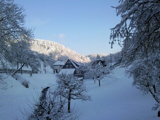 Type de propriété : Ferme Schleusegrund Enregistrement extérieur 6