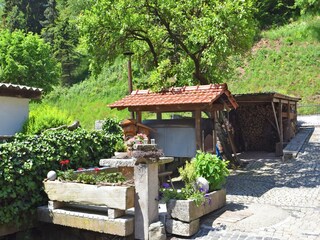 Type de propriété : Ferme Schleusegrund Enregistrement extérieur 7