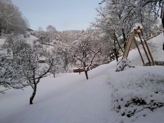 Type de propriété : Ferme Schleusegrund Enregistrement extérieur 9