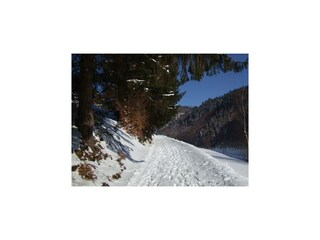 Bauernhof Schleusegrund Umgebung 27