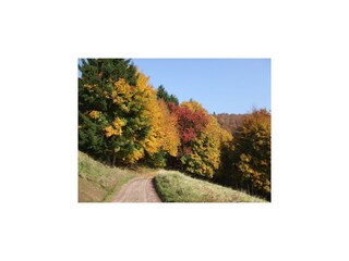 Fattoria Schleusegrund Caratteristiche 21