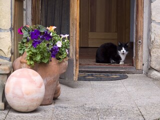 Bauernhof Schleusegrund Ausstattung 25