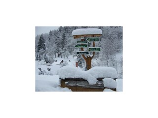 Bauernhof Schleusegrund  40