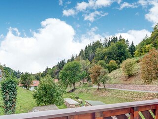 Holiday house Schleusegrund Outdoor Recording 10