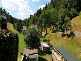 Ferienhaus Schleusegrund Umgebung 23