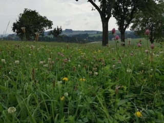 Maison de vacances Altenfeld Environnement 21