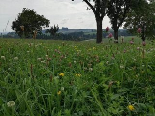 Vakantiehuis Altenfeld Omgeving 28