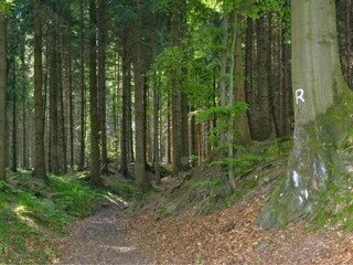 Casa de vacaciones Altenfeld Entorno 24