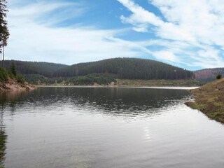 Maison de vacances Altenfeld Environnement 18