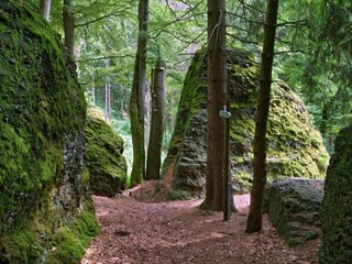 Casa de vacaciones Altenfeld Entorno 44