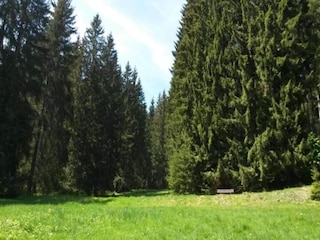 Ferienhaus Altenfeld Umgebung 21