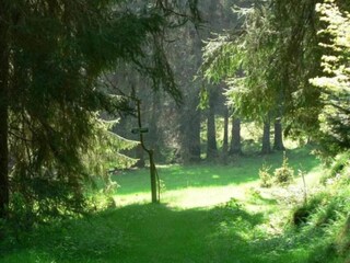 Casa de vacaciones Altenfeld Entorno 30